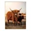 Ty Pennington Framed Calf Highland Cow Canvas Wall Art, 24x30