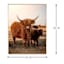 Ty Pennington Framed Calf Highland Cow Canvas Wall Art, 24x30