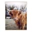 Ty Pennington Framed Highland Cow Canvas Wall Art, 24x30