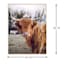 Ty Pennington Framed Highland Cow Canvas Wall Art, 24x30