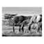 African Elephants Canvas Wall Art, 20x16
