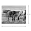 African Elephants Canvas Wall Art, 20x16