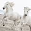 Ty Pennington Glass Framed Horses Print Wall Art, 24x18