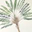 Providence Glass Framed Palm Print Wall Art, 23x41