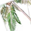 Providence Framed Swing & Palm Tree Canvas Wall Art, 20x30