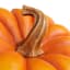 Orange Irregular Pumpkin, 9.1"