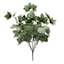 Green Maple Leaf Bush, 20x10