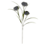 Blue Thistle Floral Spray, 25"