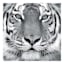 Tiger Canvas Wall Art, 30"