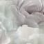 Peony Lace Canvas Wall Art, 27x48