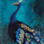 Framed Royal Peacock Canvas Wall Art, 25x33