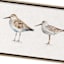 Ty Pennington Framed Bird Canvas Wall Art, 24x8