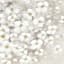 Providence Floral Canvas Wall Art, 28x22