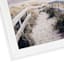 Ty Pennington Glass Framed Beach Print Wall Art, 25x35