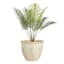 Beige Carved Ceramic Outdoor Planter, Medium