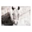 Horse Portrait Canvas Wall Art, 36x24