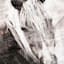Horse Portrait Canvas Wall Art, 36x24