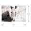 Horse Portrait Canvas Wall Art, 36x24