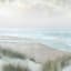 Windswept Textured Canvas Wall Art, 35"