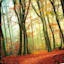 Fall Woods Textured Canvas Wall Art, 35"