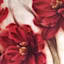 Red Flowers Canvas Wall Art, 36x24