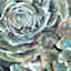 Desert Bloom Blues Canvas Wall Art, 35"