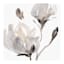 Magnolias Embellished Canvas Wall Art, 35"
