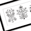 Found & Fable Glass Framed Floral Print Wall Art, 32x13