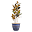 Blue Carved Ceramic Outdoor Planter, Large