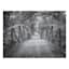 Forest Bridge Canvas Wall Art, 40x30