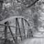 Forest Bridge Canvas Wall Art, 40x30