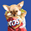 Taco In A Bag Canvas Wall Art, 8x10