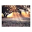 Morning Light Canvas Wall Art, 40x30