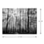 Forest Trees Canvas Wall Art, 40x30