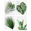 4-Piece Leaves Collection Canvas Wall Art, 8x10