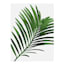 4-Piece Leaves Collection Canvas Wall Art, 8x10
