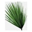 4-Piece Leaves Collection Canvas Wall Art, 8x10