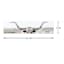 Texas Longhorn Canvas Wall Art, 36x9