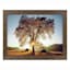 Framed Black Oak Sunset Textured Wall Art, 36x46