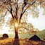 Framed Black Oak Sunset Textured Wall Art, 36x46