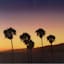 California Sunset High Gloss Canvas Wall Art, 60x20