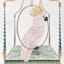 Glass Framed Cockatoo Print Wall Art, 13x17
