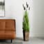 Grass Bush in Wooden Pot, 61"