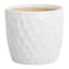 Crosby St. Elena White Indoor Ceramic Pot, Medium