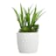 Crosby St. Elena White Indoor Ceramic Pot, Medium
