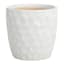 Crosby St. Elena White Indoor Ceramic Pot, Small