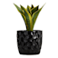 Crosby St. Elena Black Indoor Ceramic Planter, Medium