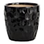 Crosby St. Elena Black Indoor Ceramic Planter, Small