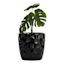 Crosby St. Elena Black Indoor Ceramic Planter, Small
