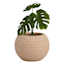 Tracey Boyd Natural Round OutdoorPlanter, Small